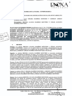 Demanda Nelly Ramirez Montero - La Palma PDF