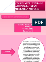 Pembelahan Mitosis dalam