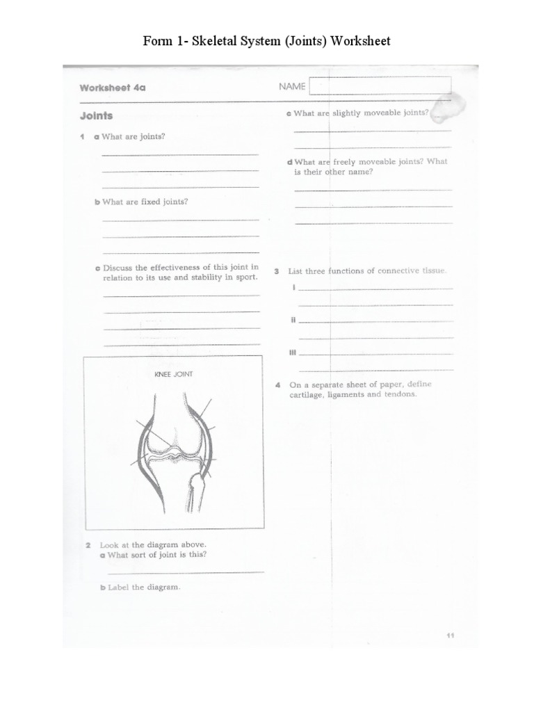 Joint Worksheet - Form 1 | PDF