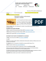 Guia #3 (T Confinamiento) Fisica 10°