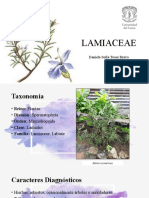 Lamiaceae