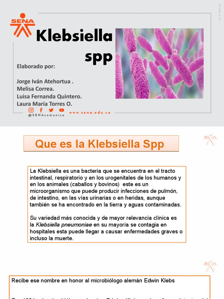 Presentacion de La Klebsiella | PDF | Las bacterias | Infección