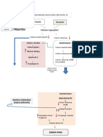 Diagram Regurgitasi