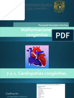 Malformanciones Congenitas. Fernando Gonzalez Sanchez