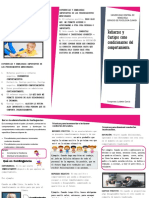 Triptico de Refuerzo y Castigo PDF