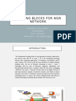 Building Blocks For NGN Network
