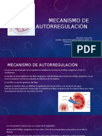 Mecanismo de Autorregulación Ari