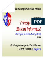 Ppsi08 PDF