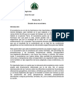 Practica 1 Estudio de Los Ecosistemas 22062019-1 PDF