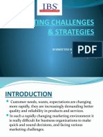 Marketing Challenges & Strategies