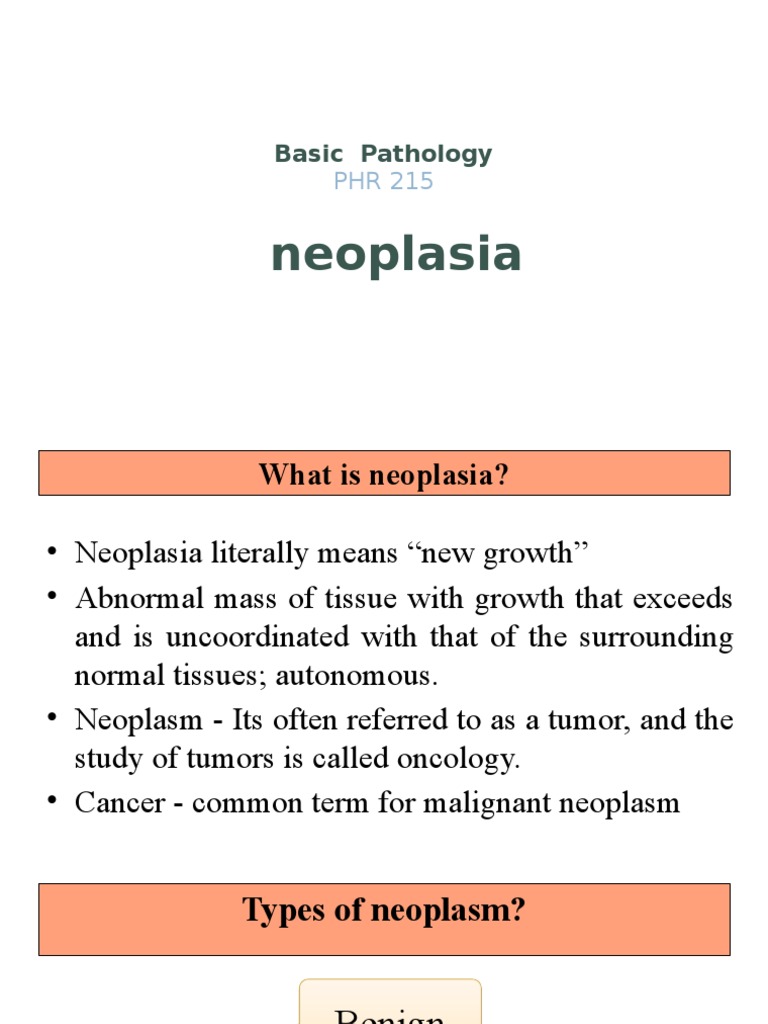 Neoplasia Basic Pathology Pdf Metastasis Neoplasms