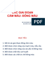Do NG Ca M Ma U BS Thanh Thanh 1 PDF