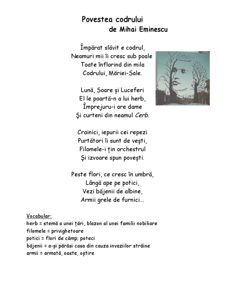 Povestea Codrului M E