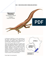 Meso PDF