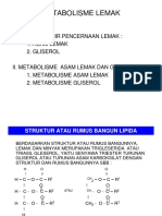 Metabolisme Lemak10