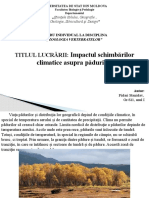 Impactul Schimbărilor Climatice Asupra Pădurilor