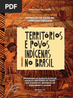 01-AIS AISAN - Área I - Unidade I TERRITÓRIOS E POSVOS INDÍGENAS NO BRASIL.pdf