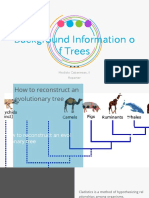 Background Information o F Trees: Modisto Cabanesas, II Reporter