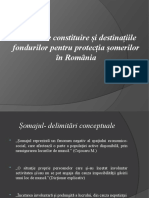 Sursele de constituire și destinațiile fondurilor pentru protecția șomerilor în România