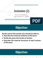 Brainstem (2) : Pons and Midbrain By: Ahmed A. E. Eljack