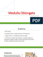 Medulla Oblongata: Drbhavinj Patel Srneurology Gmckota