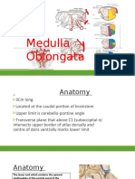 Medulla Oblongata: DR Bhavin J Patel SR Neurology GMC Kota