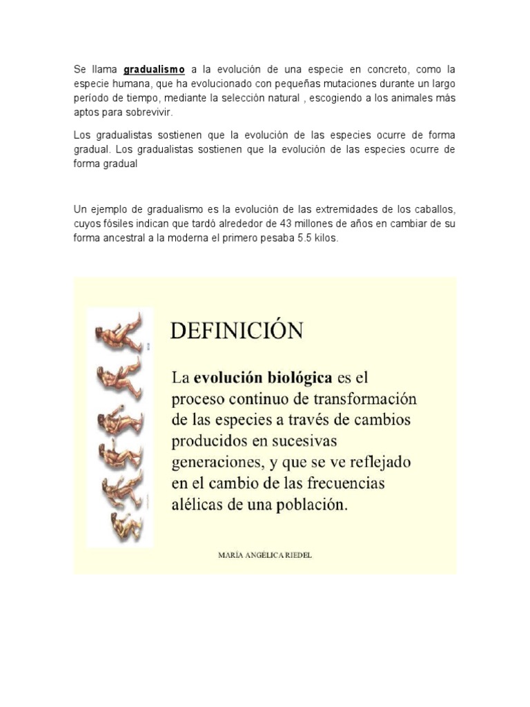 Evolución del caballo y la humanidad | PDF | Homo | Evolución humana, image size:768x1024