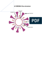 Novel CORONA Virus structure