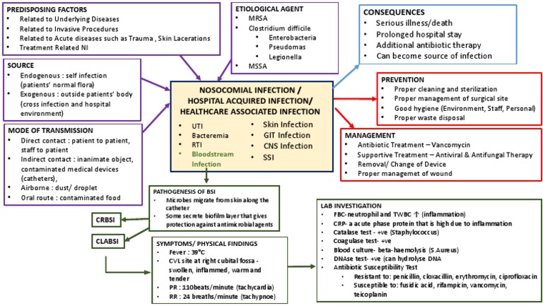 Nosocomial Infection Overview and Control | PDF | Hospital Acquired ...