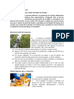 Semana 3 PDF