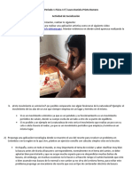 P1L1S PDF