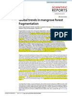 Global Trends in Mangrove Forest Fragmentation