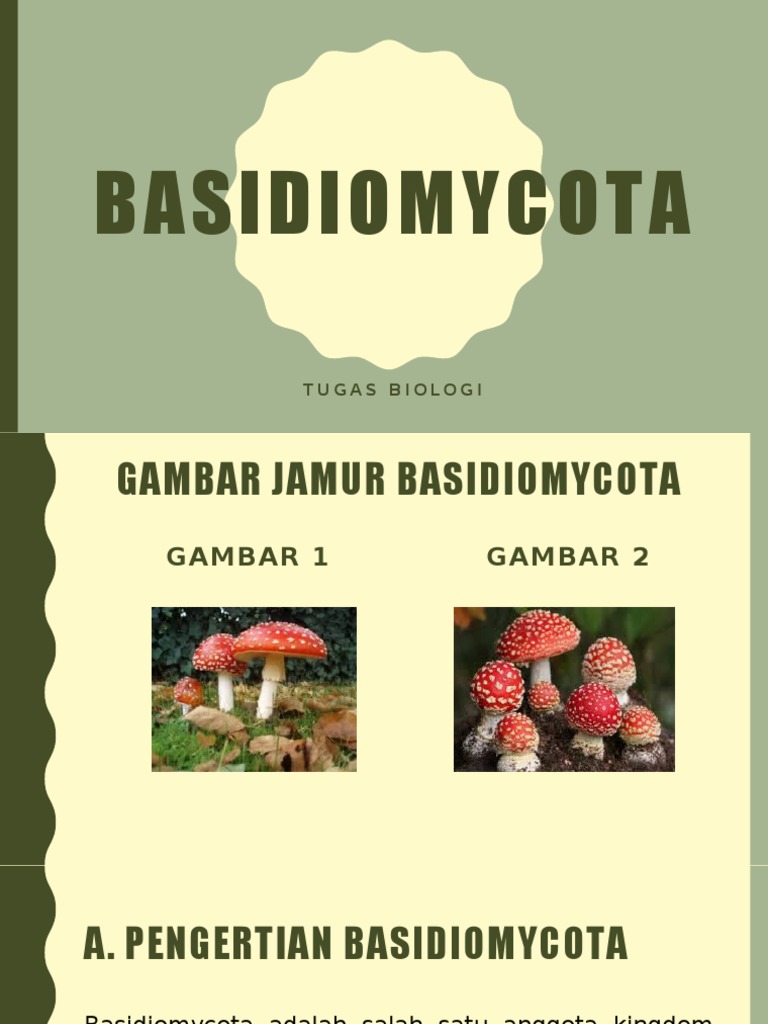 Basidiomycota | PDF