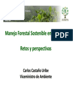 Manejoi Forestal Sostenible en Colombia