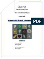 Atlas fitoplancton - Atlas digital de fitoplancton.pdf