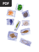 Acuicultura multitrofica integrada