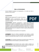 GUIA AUTOESQUEMAS.pdf
