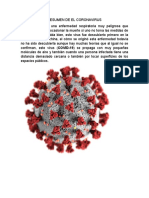 Resumen de El Coronavirus