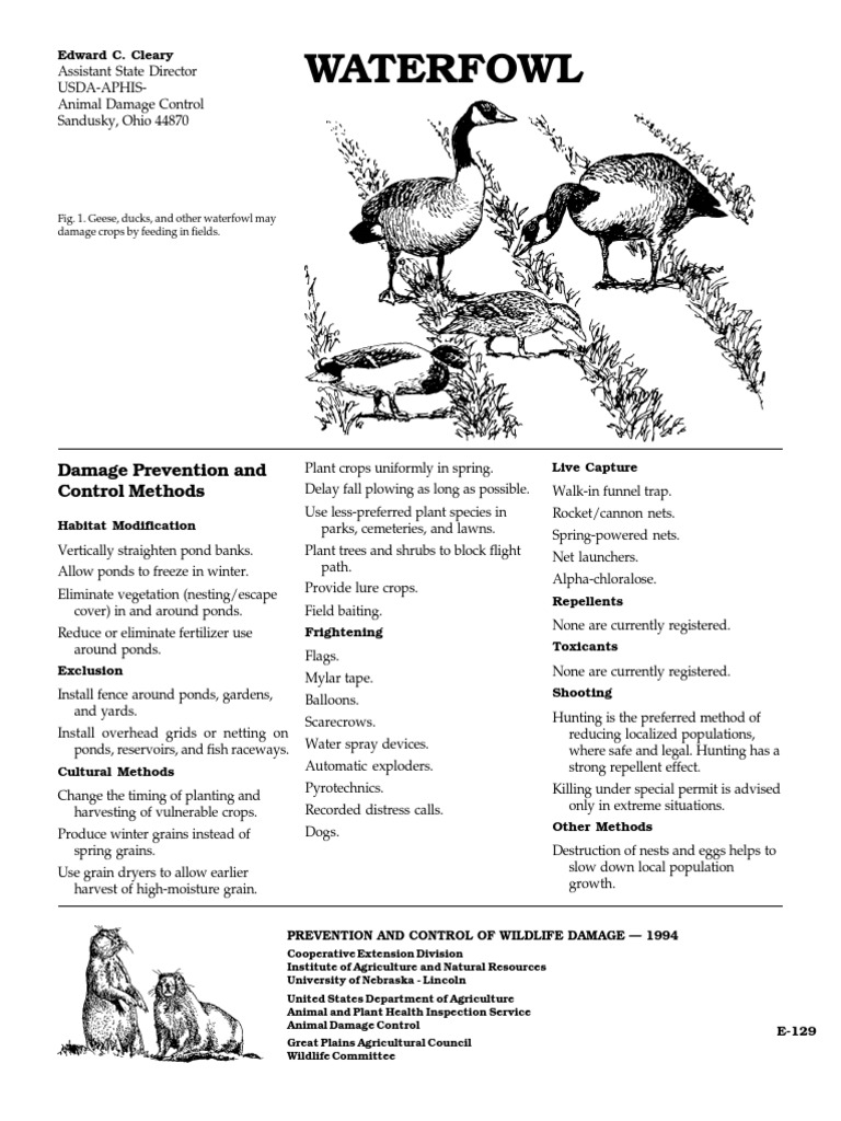 Waterfowl Damage Control Methods | PDF | Duck | Birds
