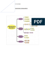 Semipreparate Din Fructe PDF