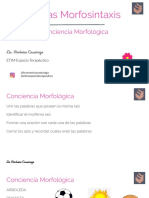 Fichas Morfosintaxis PDF
