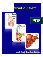 Curs Digestiv 3 (2019) (Studenti) (1).pdf