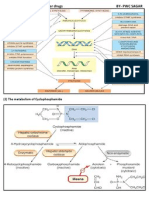 Anticancer DRUG SITE OF ACTION 