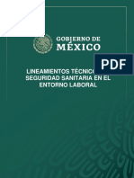 Lineamientos de Seguridad Sanitaria. Versio N 17 Mayo Final PDF