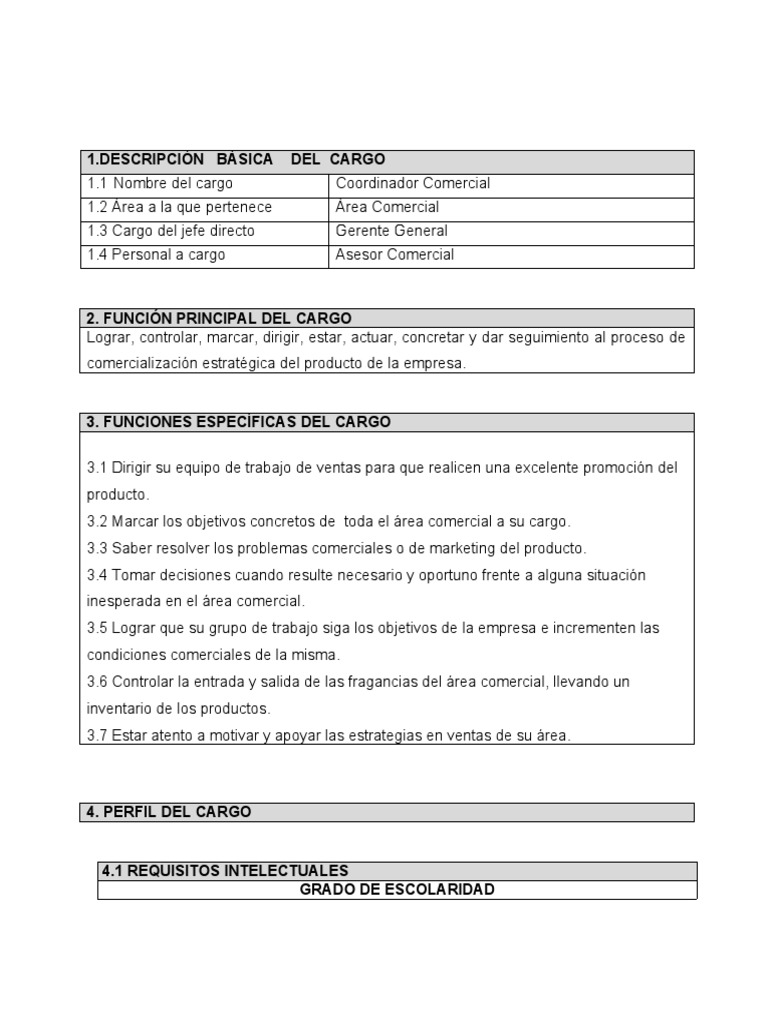 Análisis y Descripción de Cargos Coordinador Comercial | PDF | Marketing |  Economias