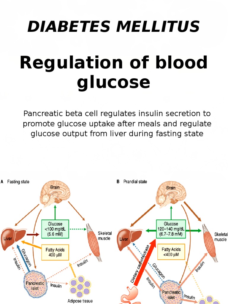 Diabetes Mellitus Regulation Of Blood Glucose Pdf Insulin
