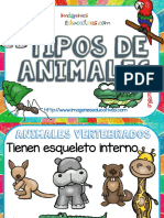 Tipos de Animales Clasificación PDF