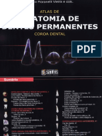 Anatomia dos Dentes Permanentes Fioranelli 1 Ed (1).pdf