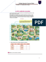 Guía puntos cardinales historia geografía tercer básico