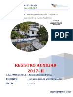 Registro Auxiliar